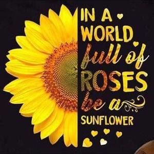 Meet your Posher, Donna